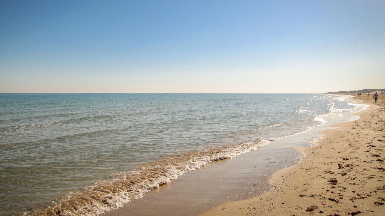 Photo of Others in Elche