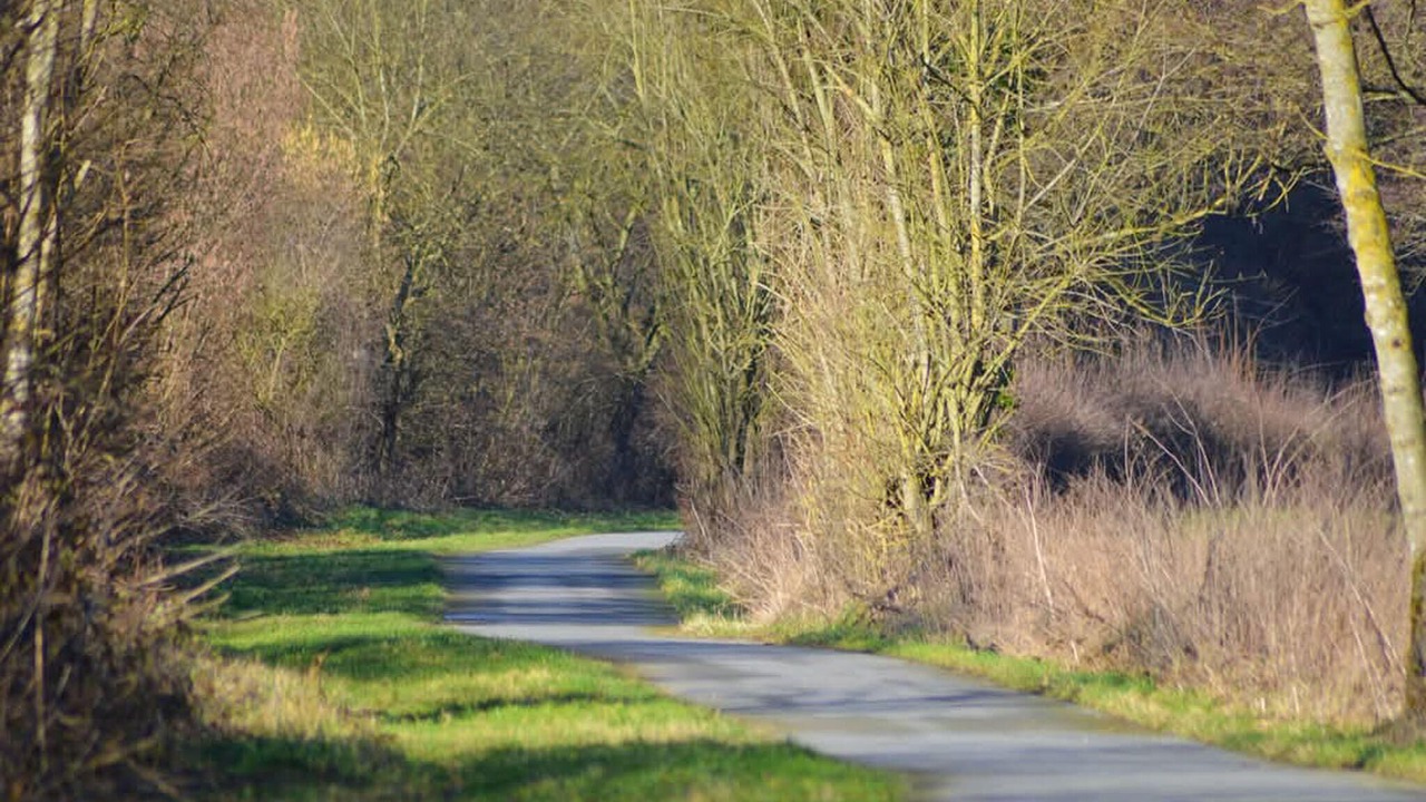 Photo of Others in Romeries