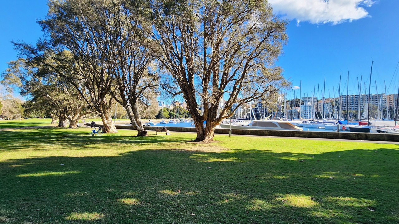 Photo of Others in Darling Point