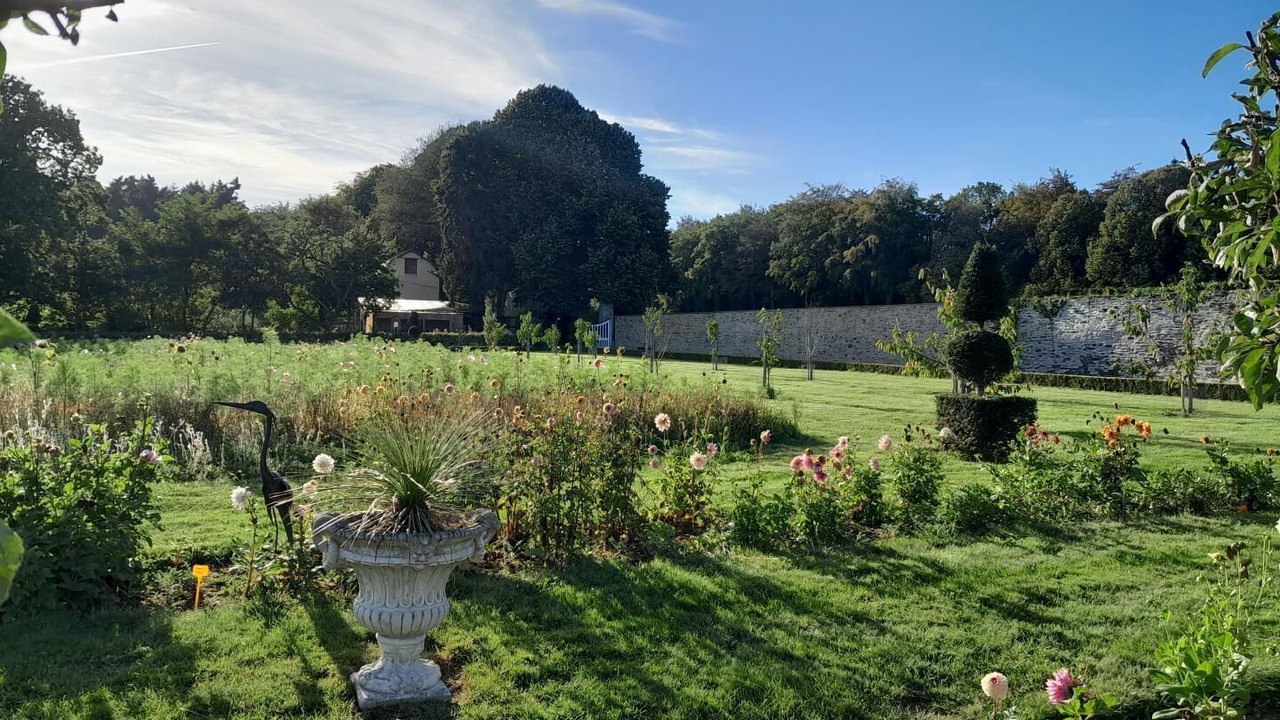 Photo of Outdoor in Miniac-Morvan