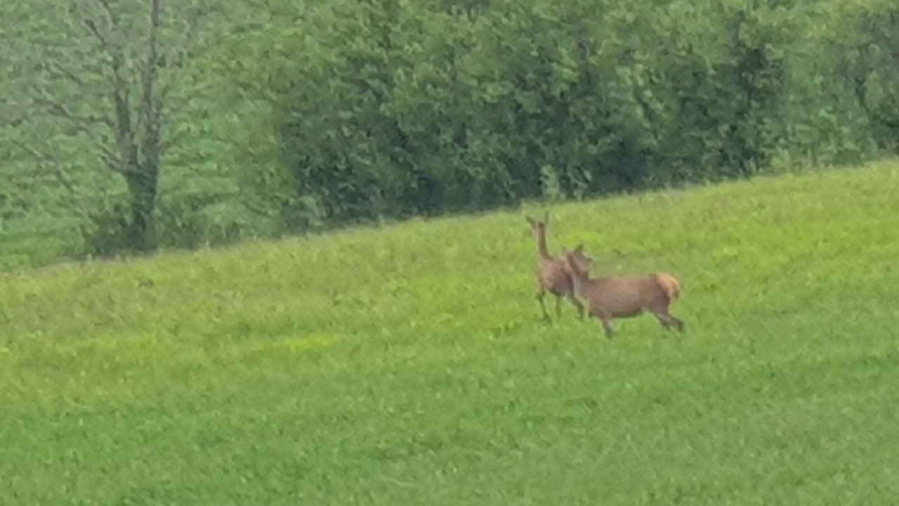 Photo of Others in Puygaillard-de-Quercy