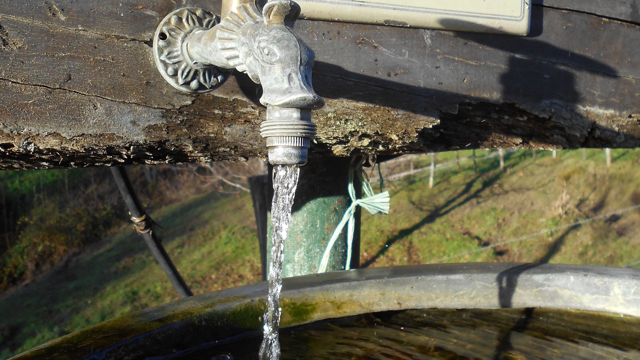 Photo of Outdoor in Loisieux