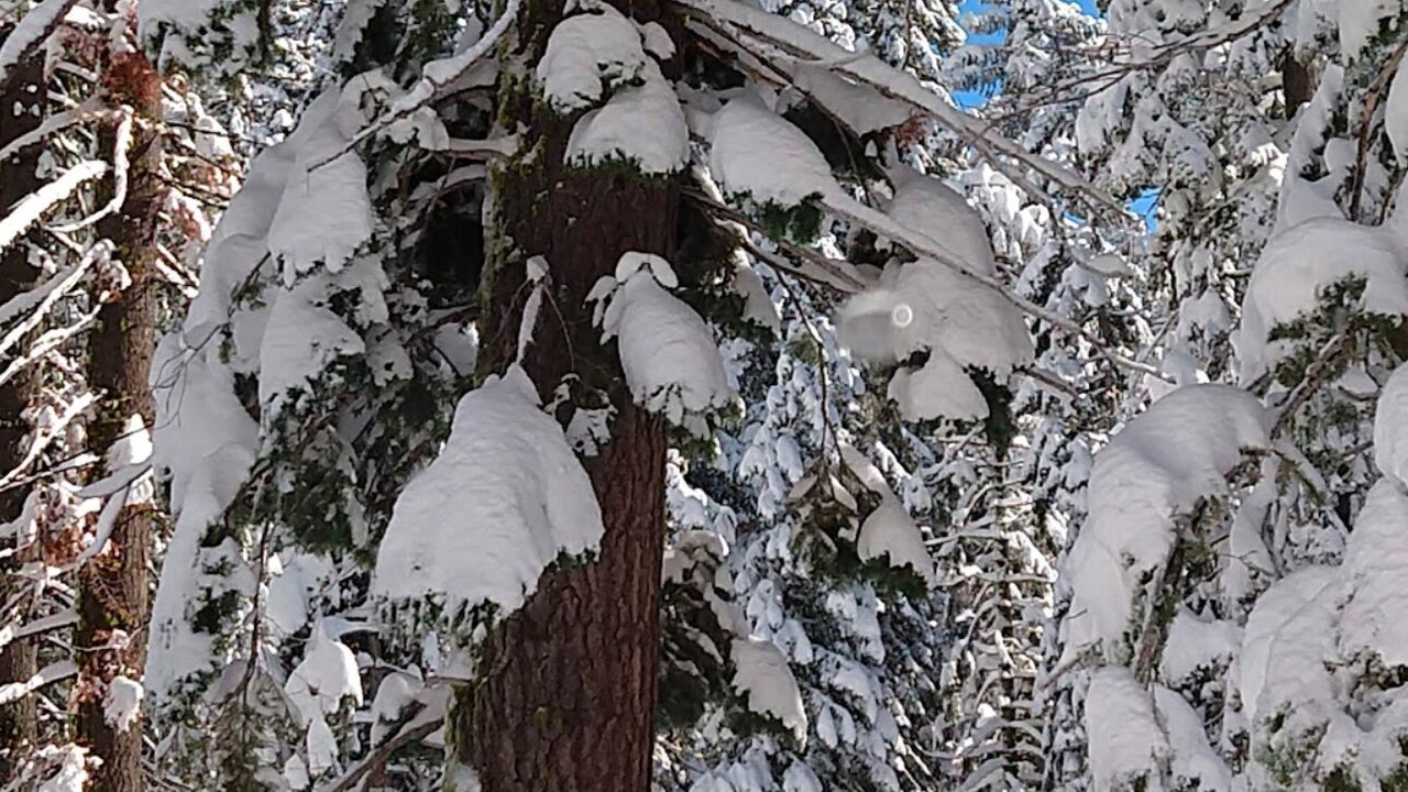 Photo of Others in Echo Lake