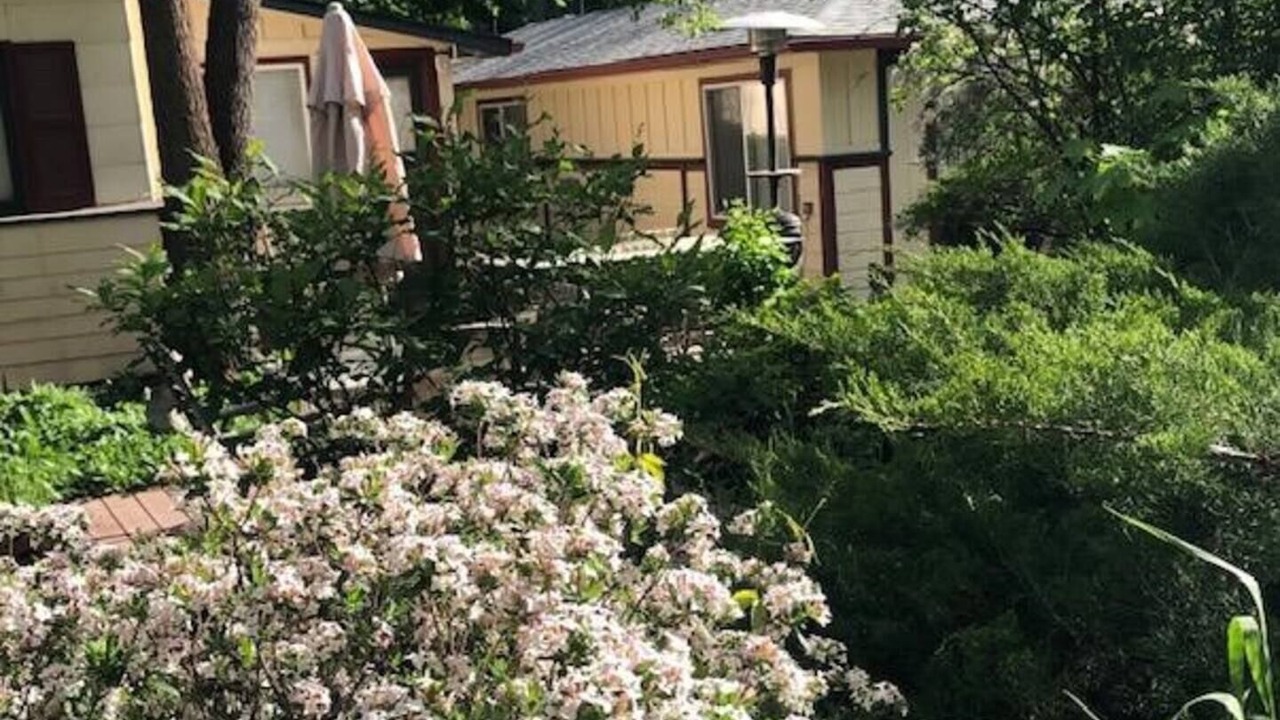 Photo of Outdoor in East Central