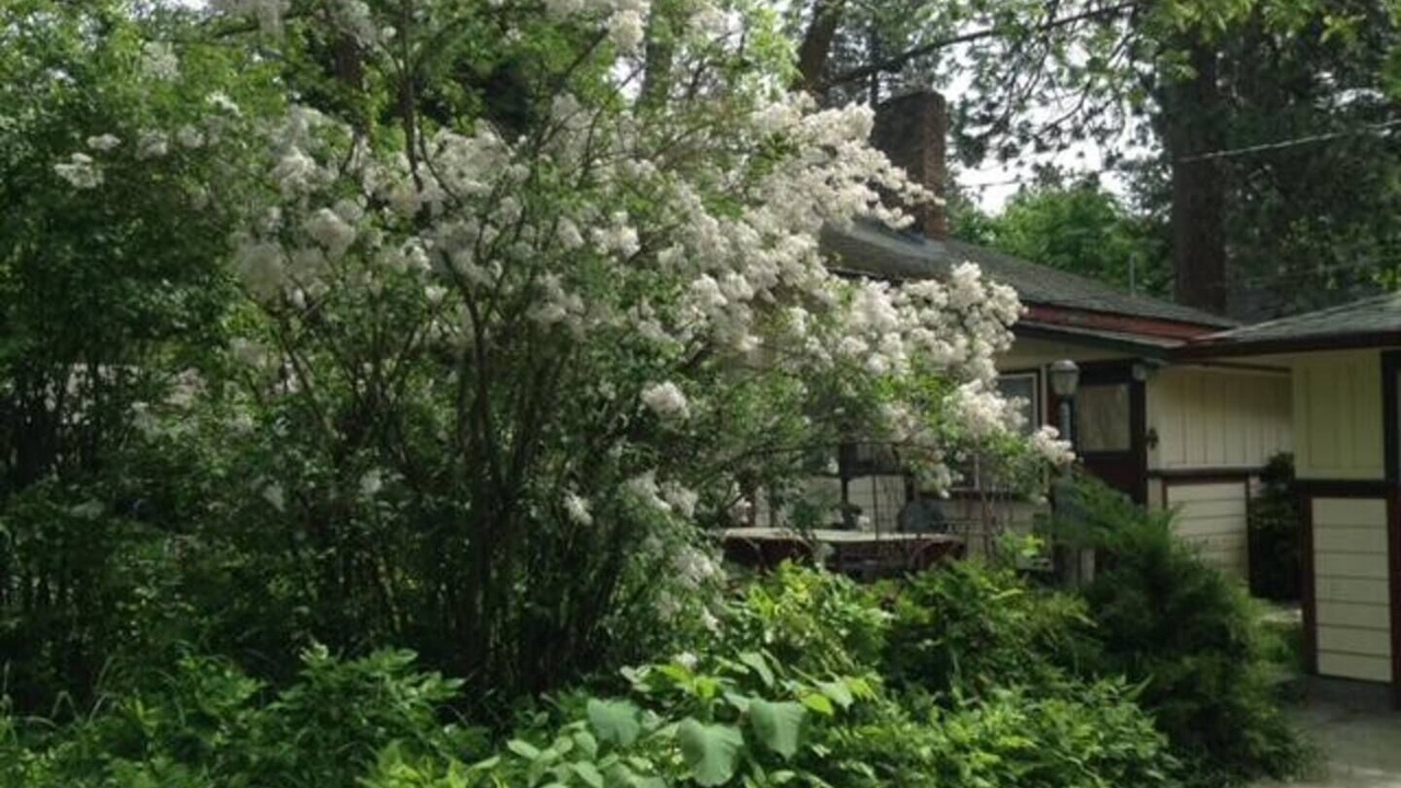 Photo of Outdoor in East Central