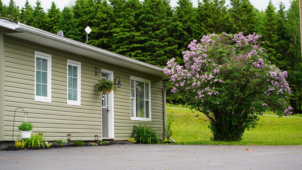 Photo of Outdoor in New Denmark