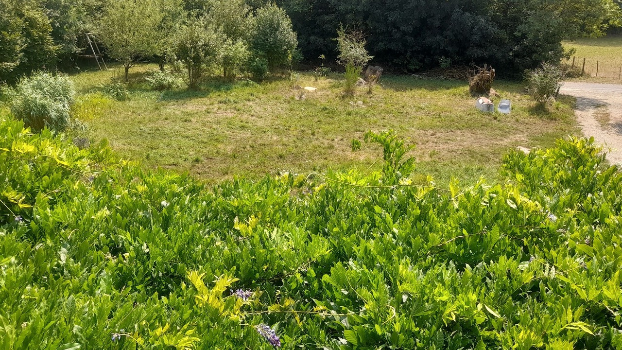 Photo of Outdoor in Murat-sur-Vebre