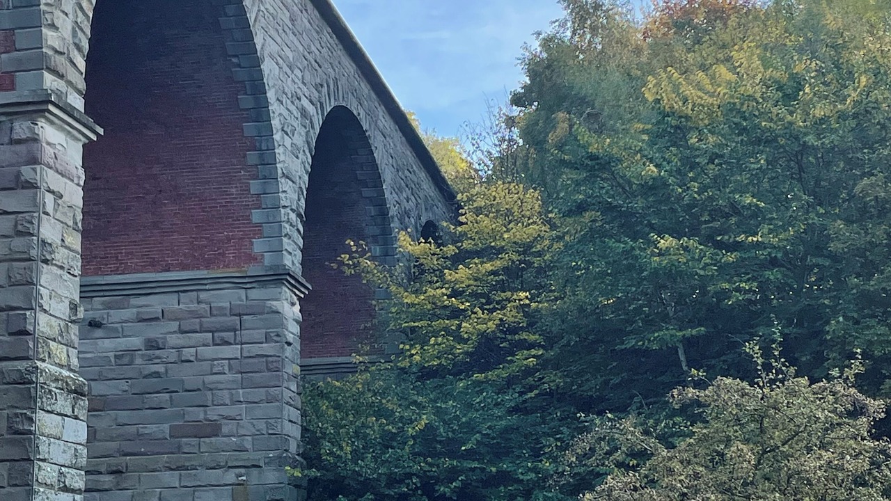 Photo of Others in Coldstream