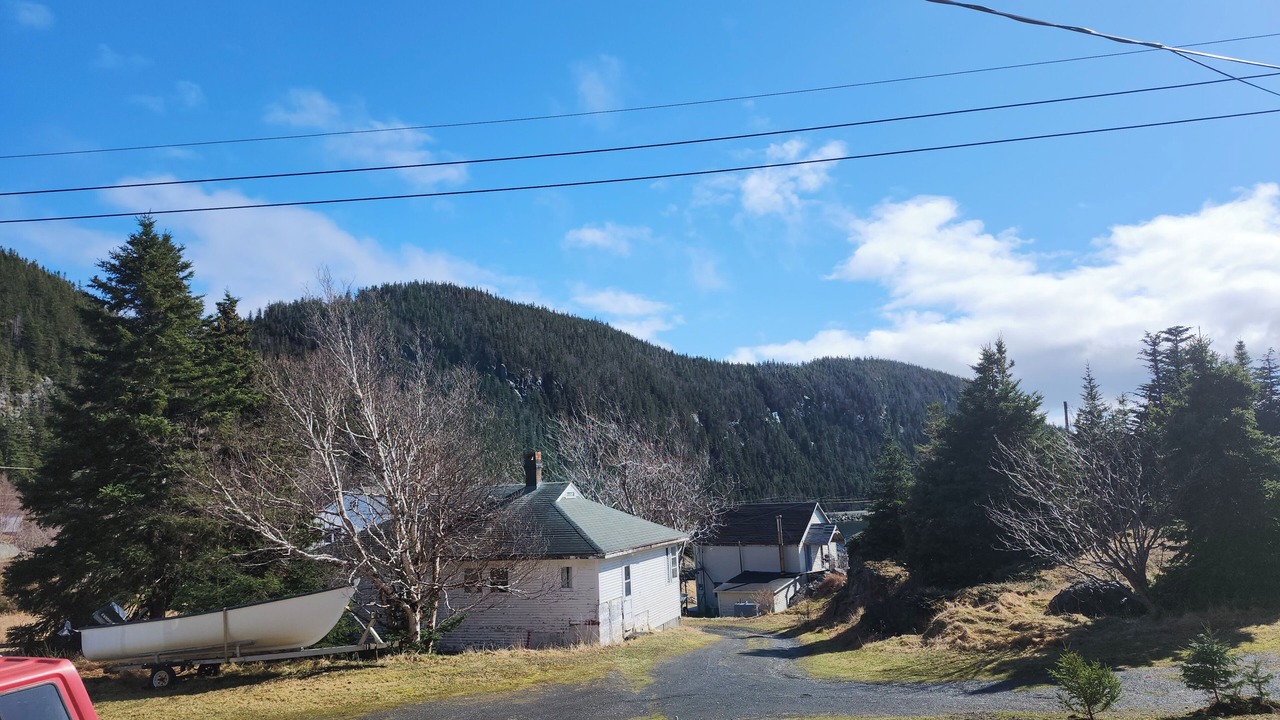 Photo of Others in Moreton's Harbour