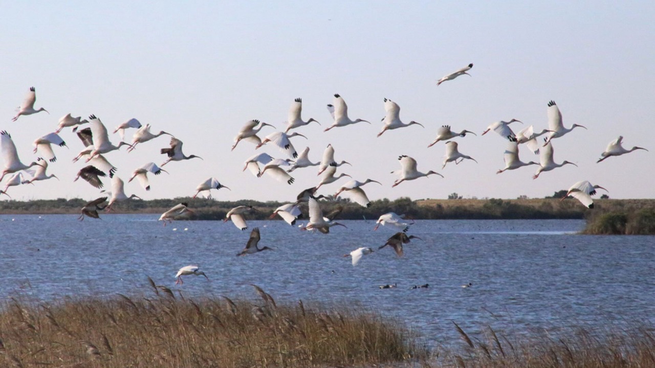 Photo of Others in Rodanthe