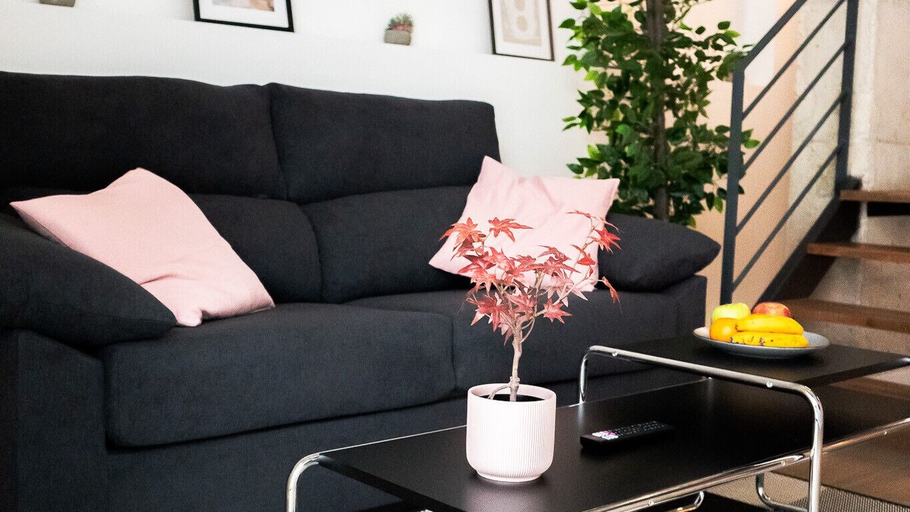 Photo of Livingroom in En Corts