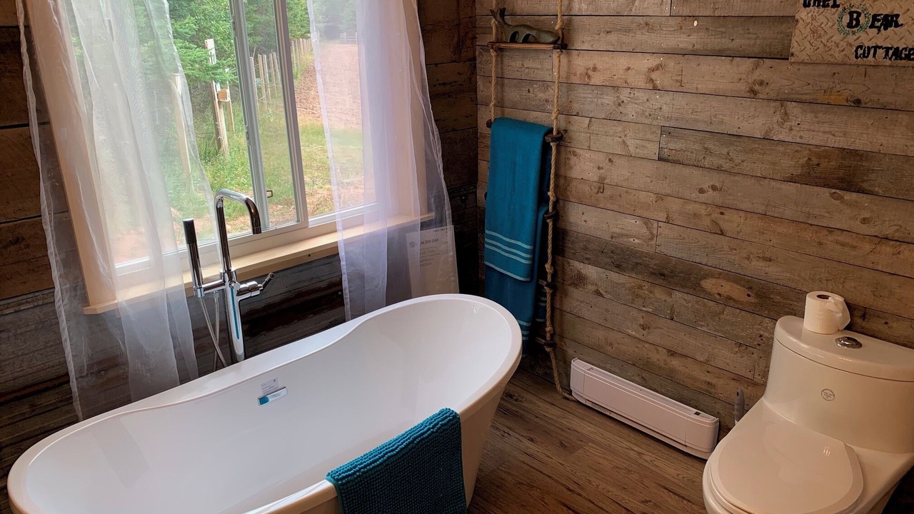 Photo of Bathroom in Flat River