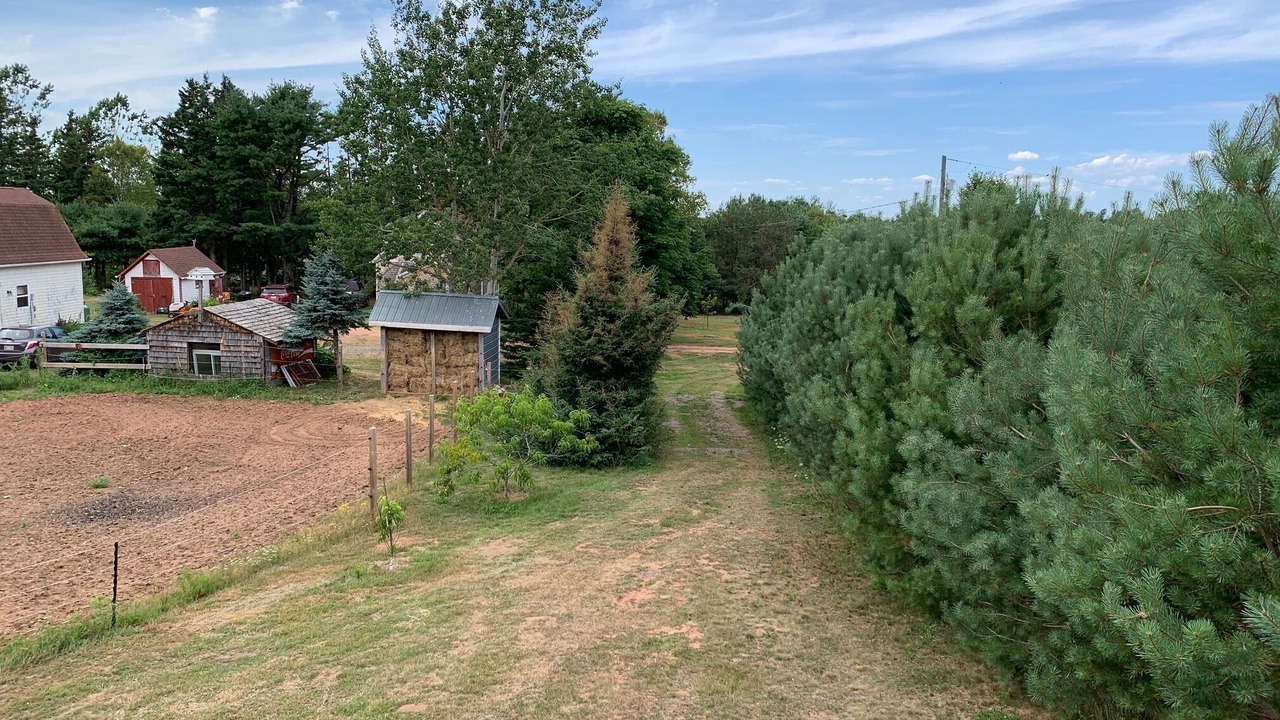 Photo of Outdoor in Flat River