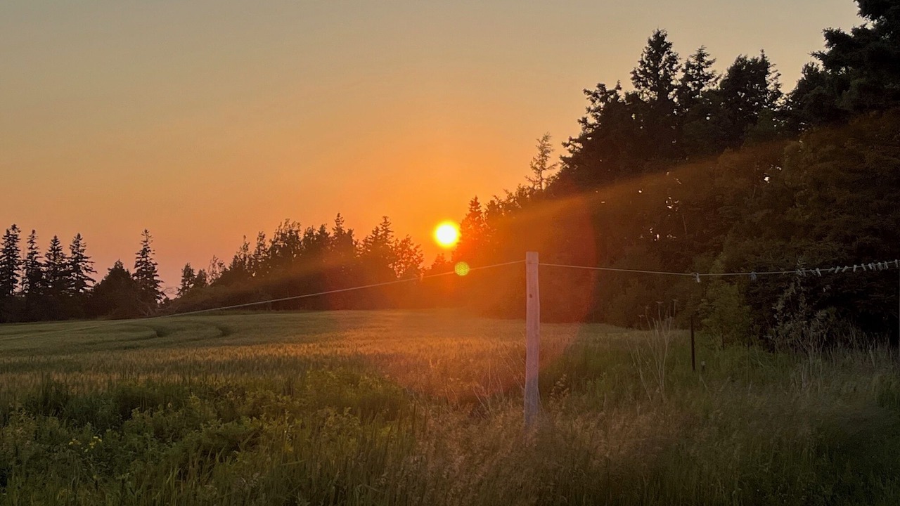 Photo of Others in Flat River