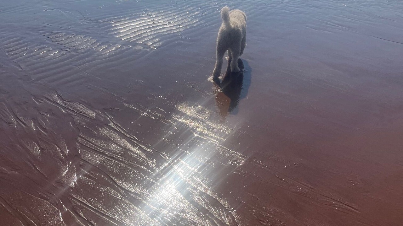 Photo of Others in Flat River