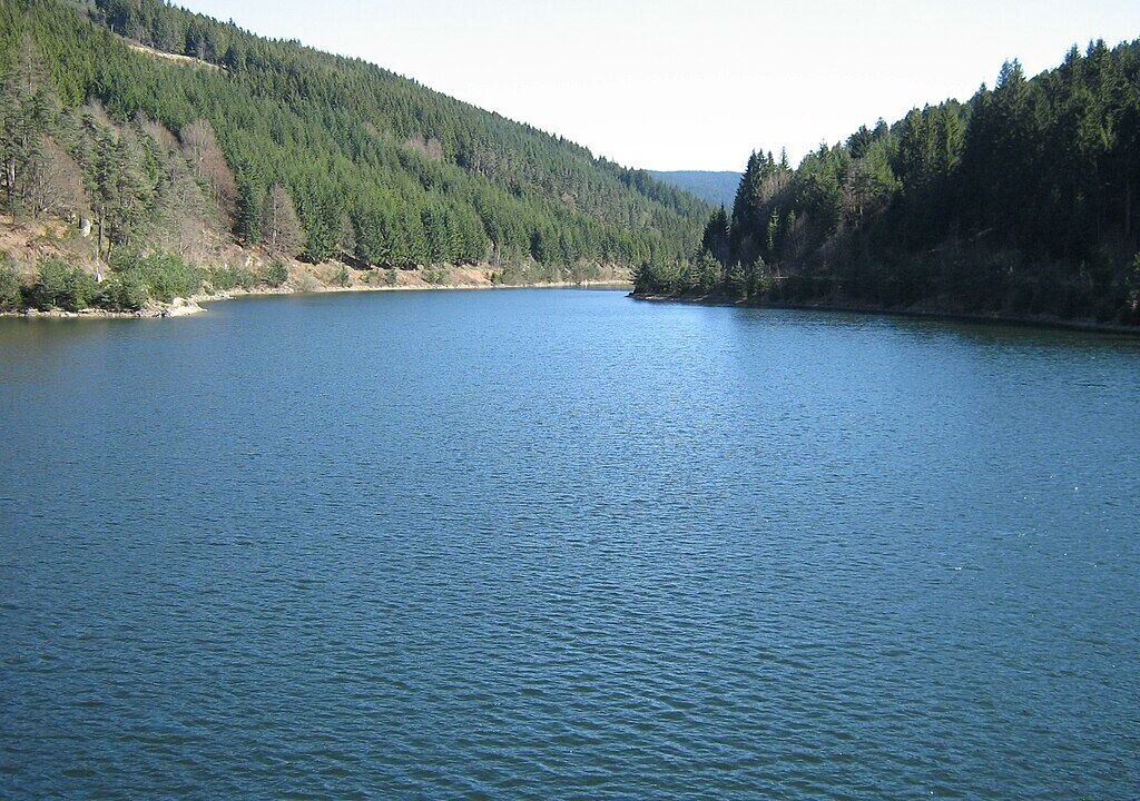 Photo of Others in Planfoy