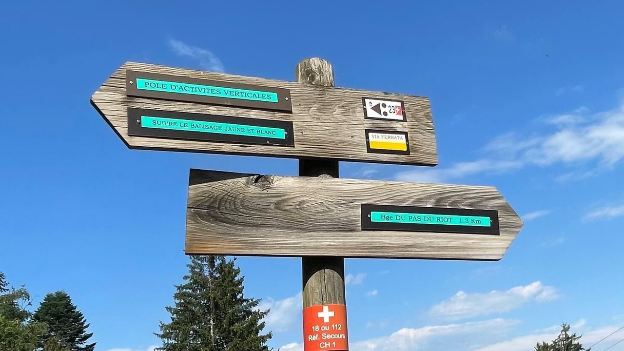 Photo of Others in Planfoy