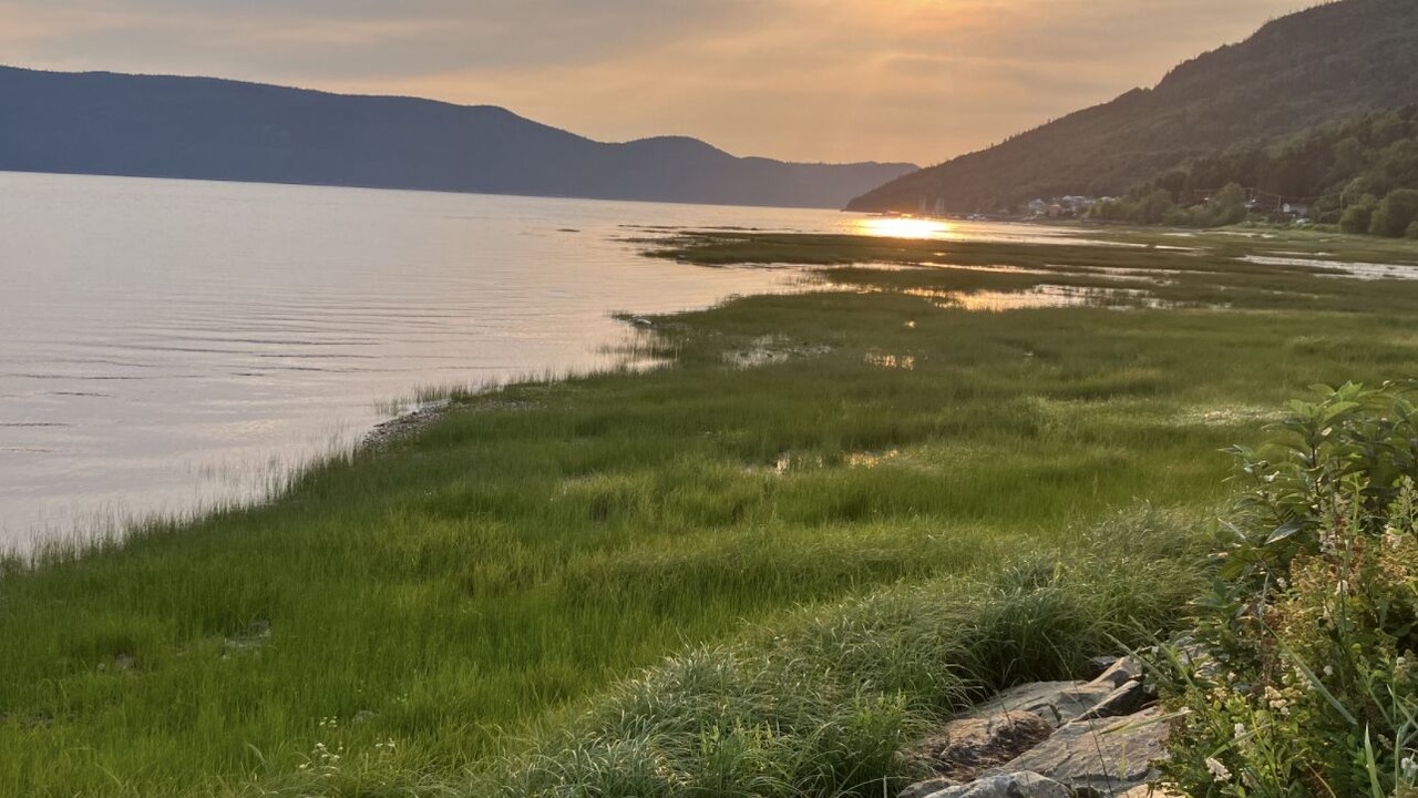Photo of Others in L'Anse-Saint-Jean