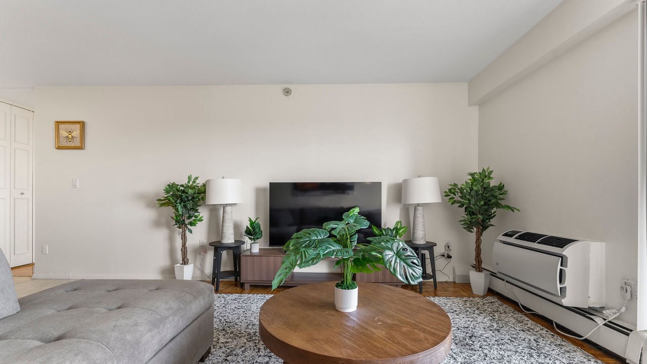 Photo of Livingroom in North Brookline