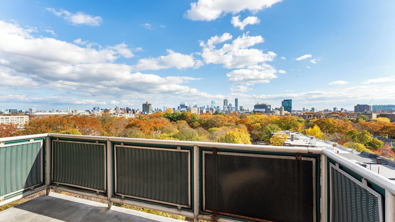 Photo of Outdoor in North Brookline