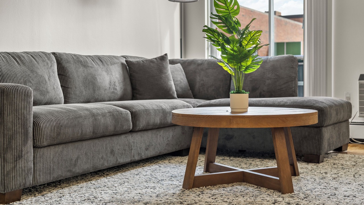 Photo of Livingroom in North Brookline