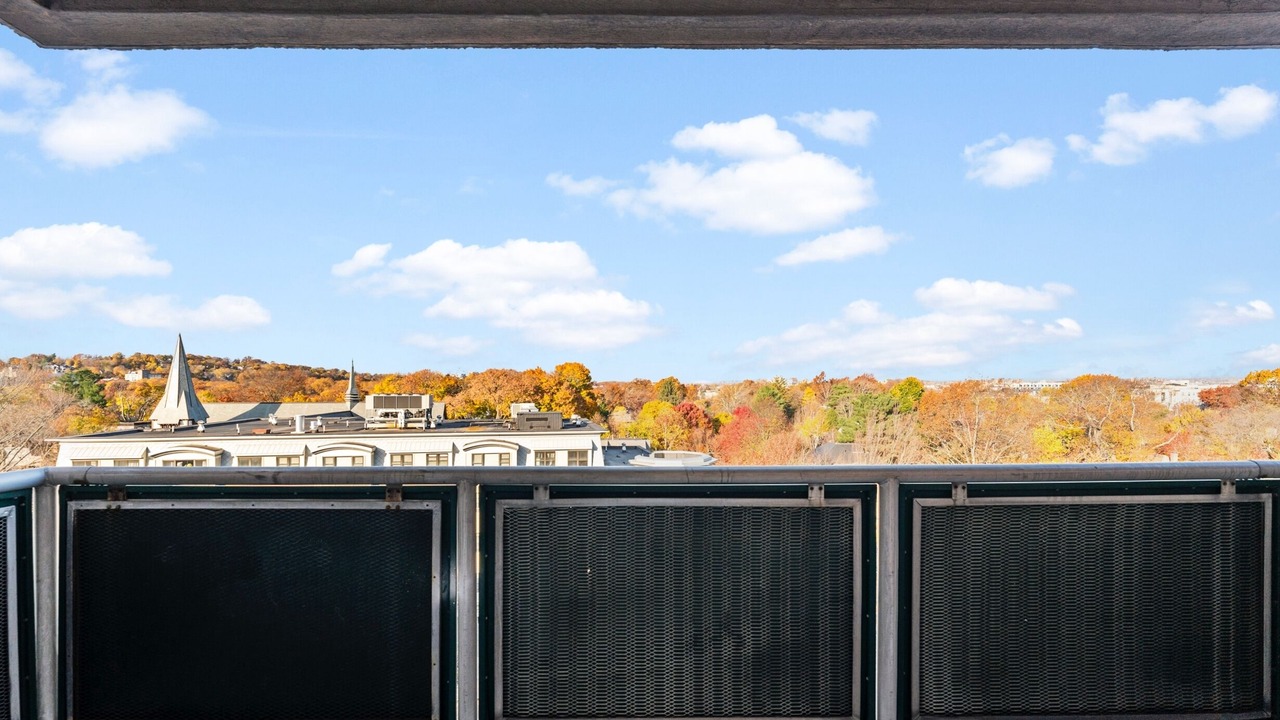 Photo of Outdoor in North Brookline