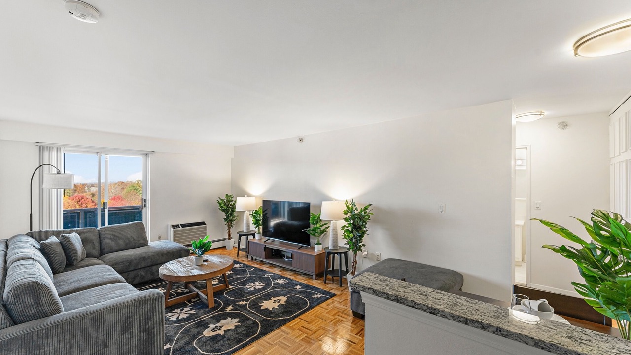 Photo of Livingroom in North Brookline