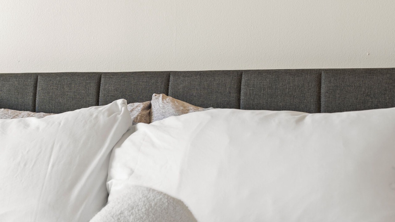 Photo of Bedroom in North Brookline