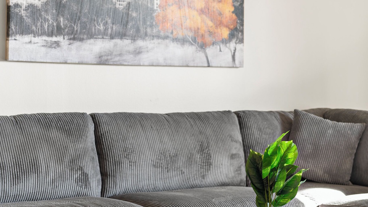 Photo of Livingroom in North Brookline