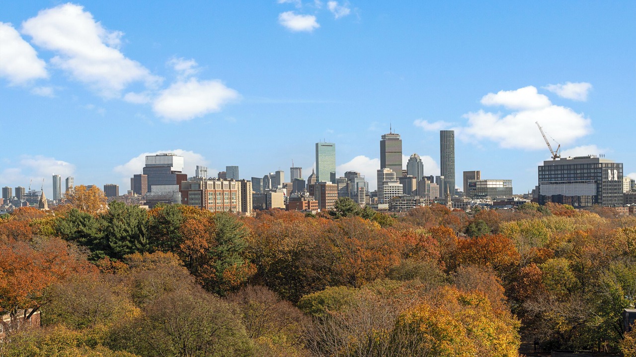 Photo of Others in Longwood