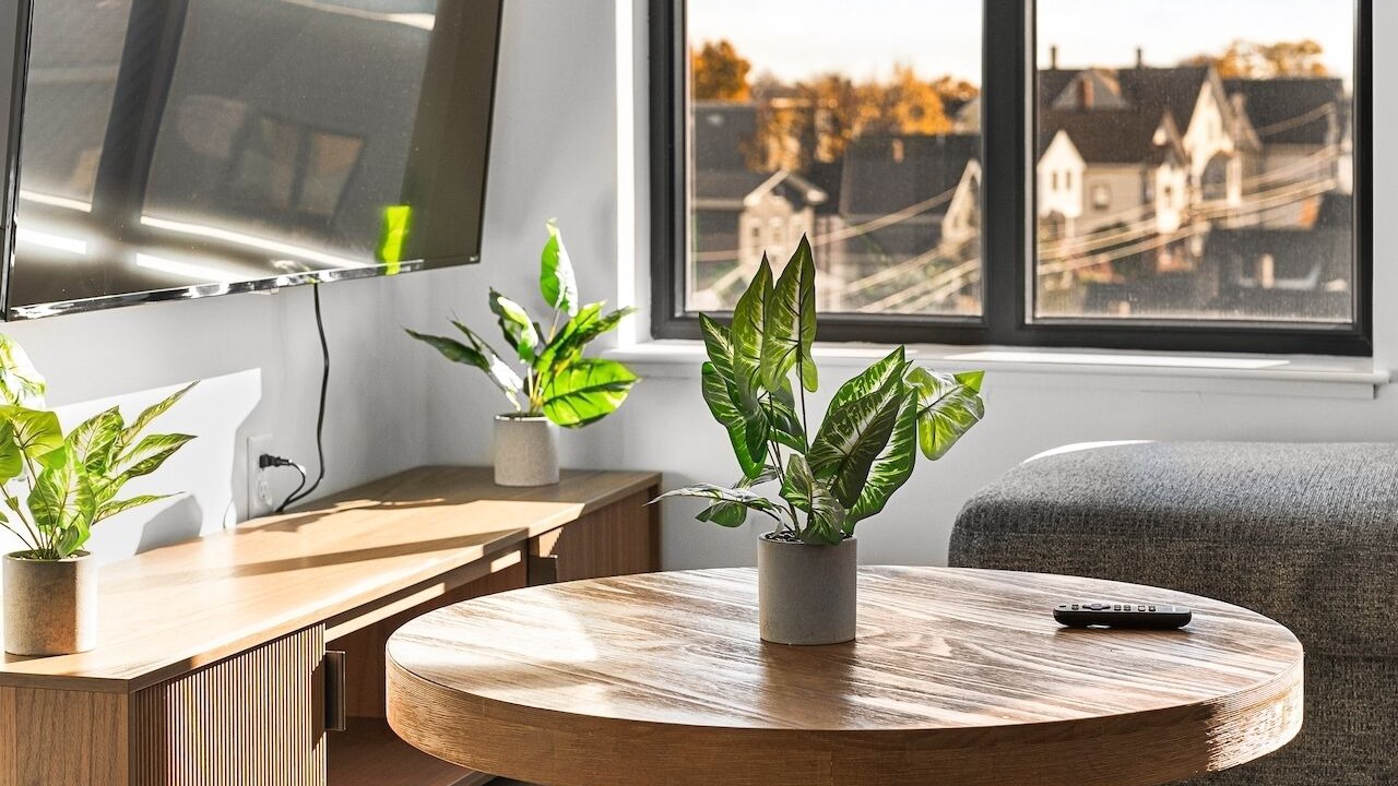 Photo of Livingroom in Everett