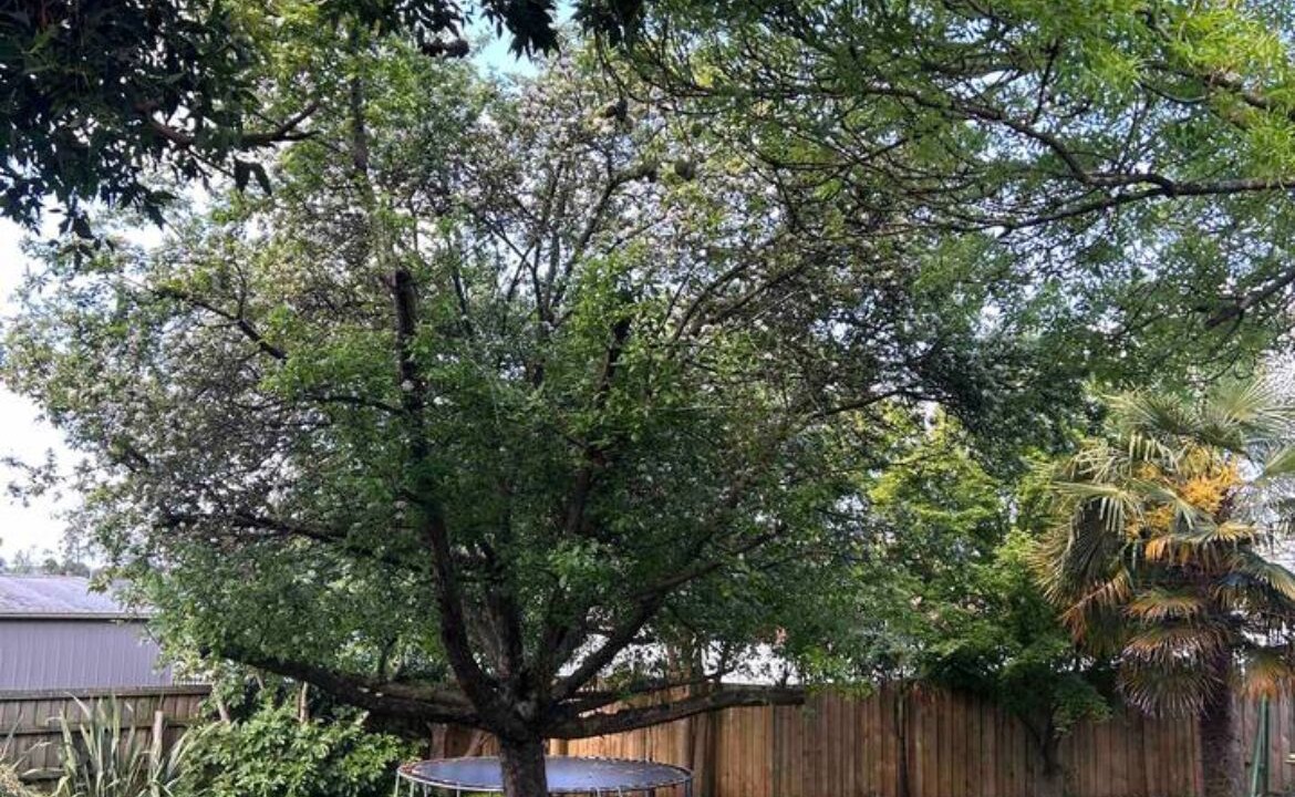 Photo of Outdoor in Warragul