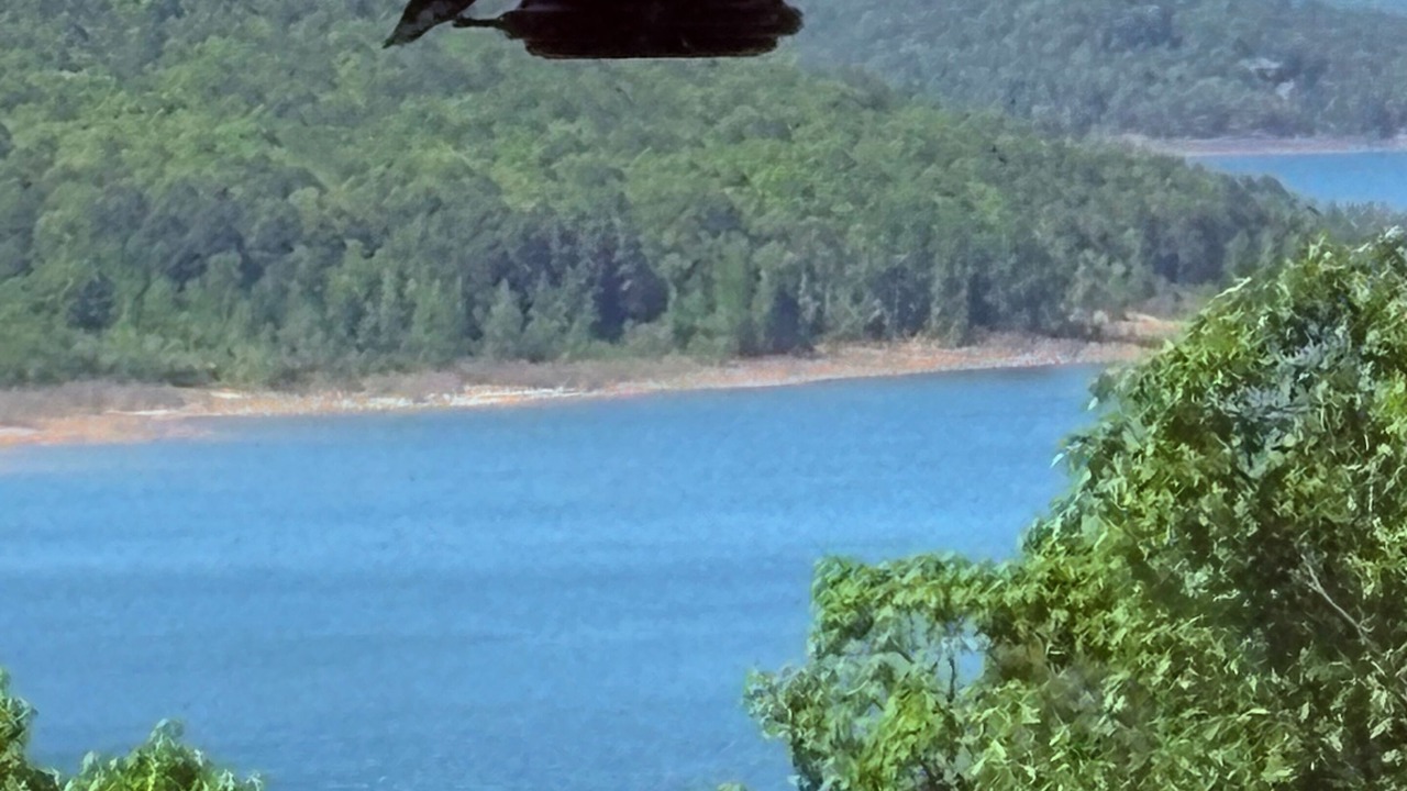 Photo of Others in Quitman