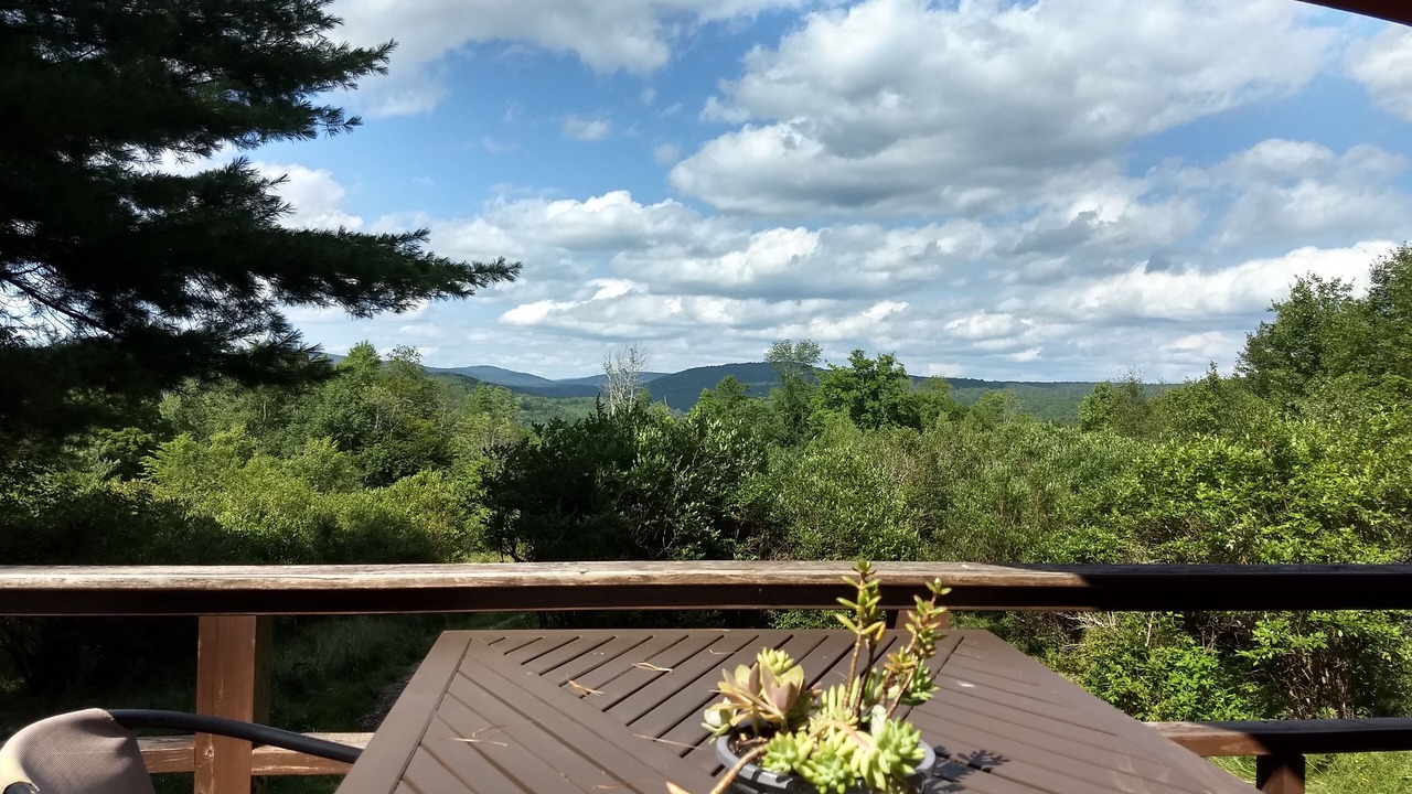 Photo of Outdoor in Livingston Manor