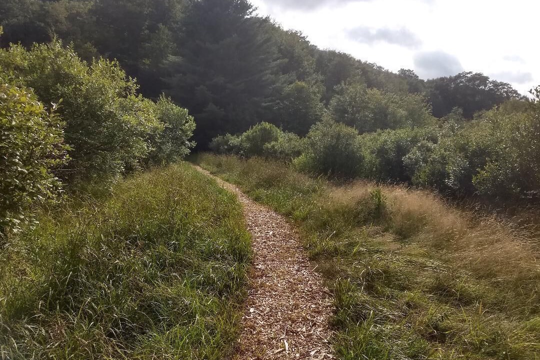 Photo of Others in Livingston Manor