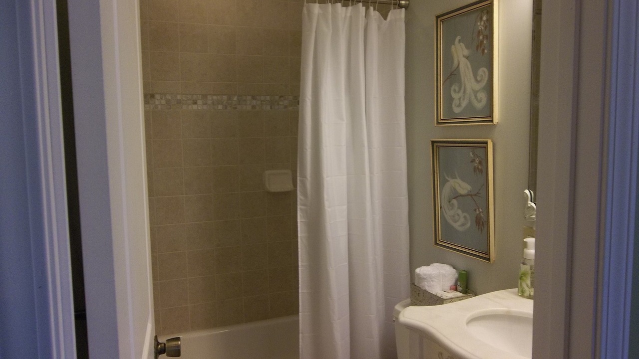 Photo of Bathroom in Buncombe