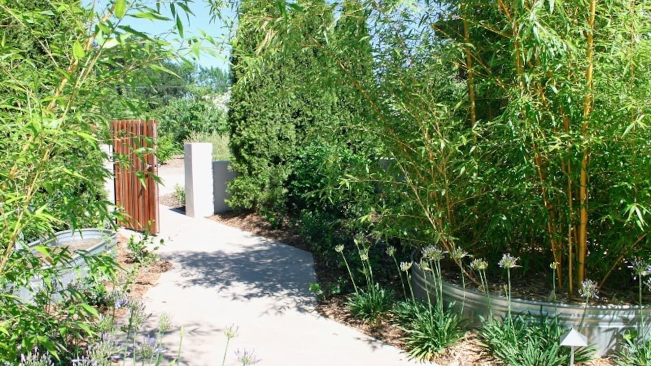 Photo of Outdoor in Windsor