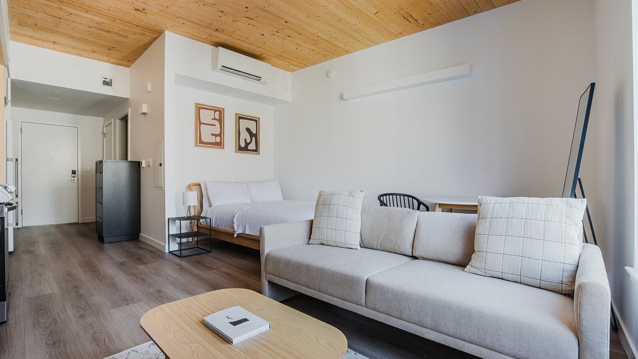 Photo of Livingroom in East Somerville