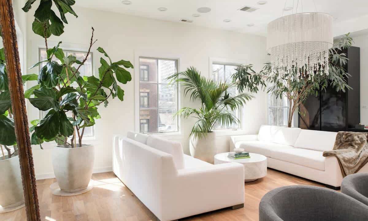 Photo of Livingroom in Gold Coast