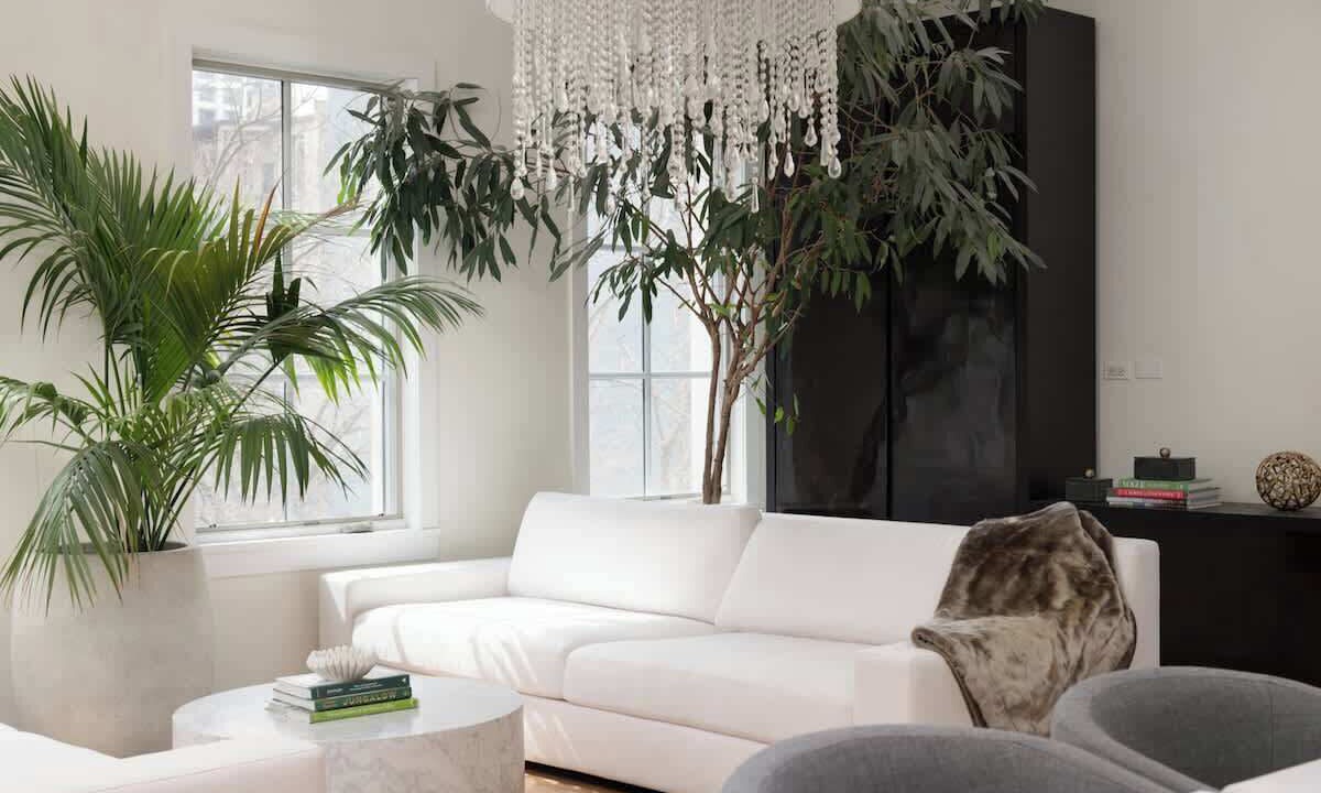 Photo of Livingroom in Gold Coast