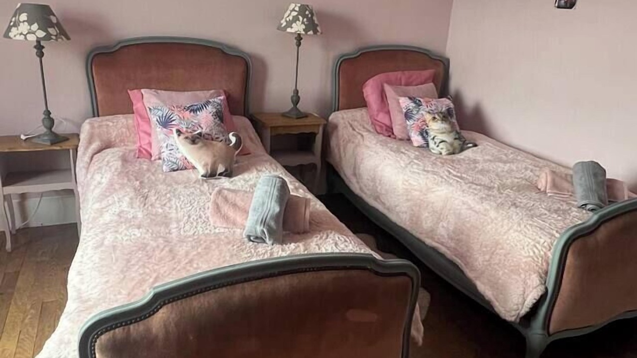 Photo of Bedroom in Favieres