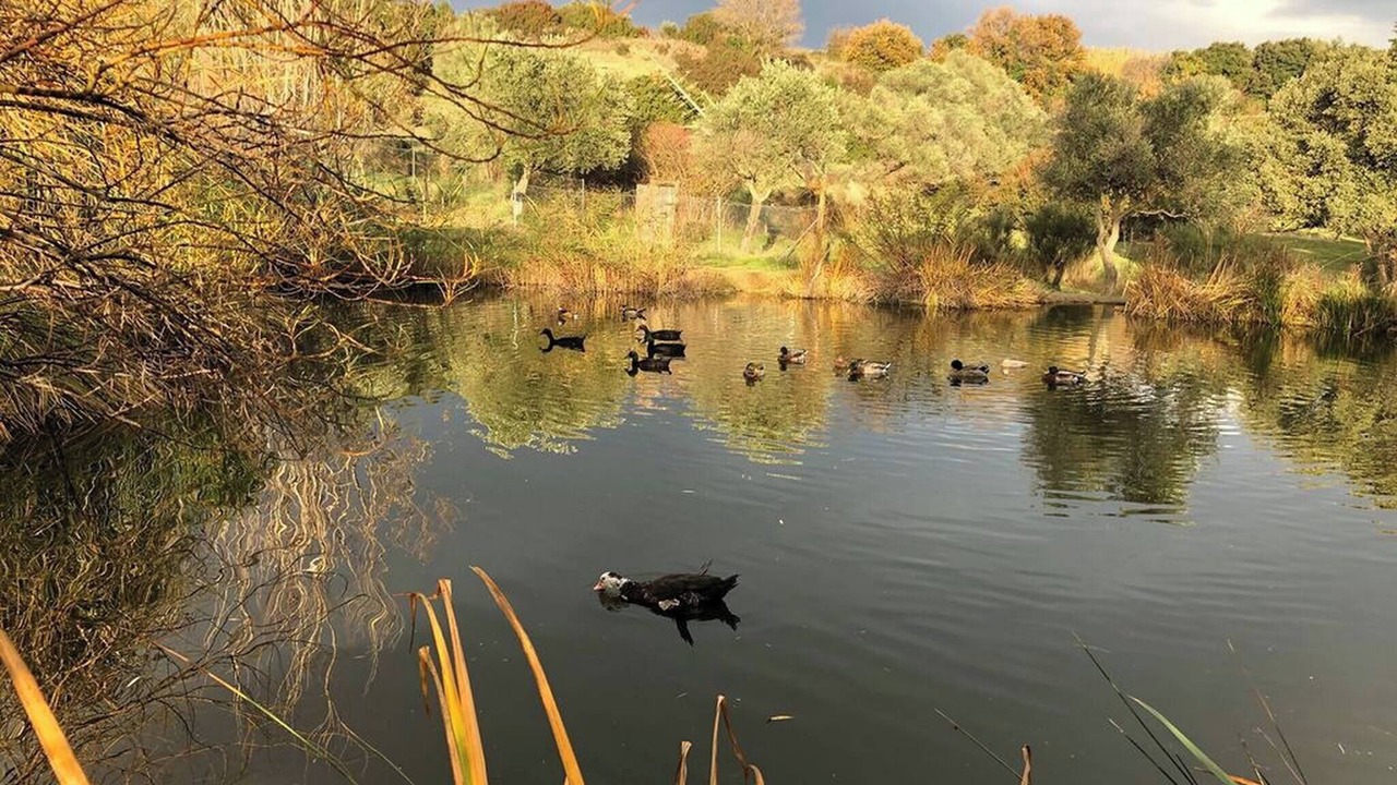 Photo of Others in Le Pouget