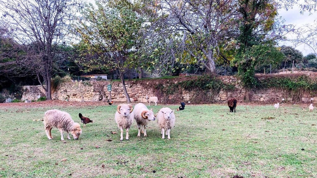 Photo of Others in Le Pouget