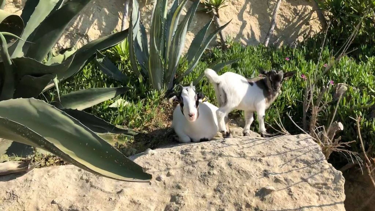 Photo of Others in Le Pouget