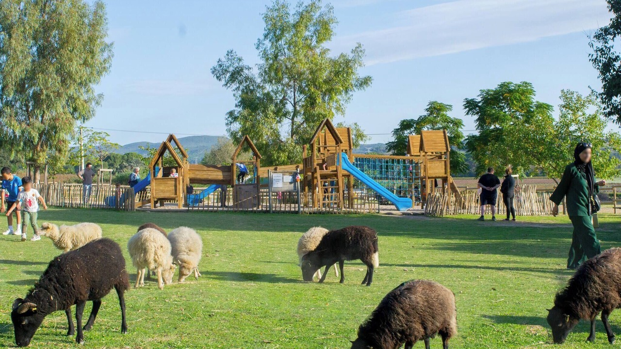 Photo of Others in Le Pouget