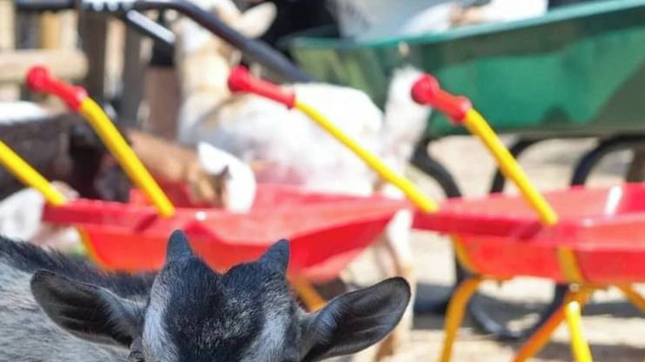 Photo of Others in Le Pouget