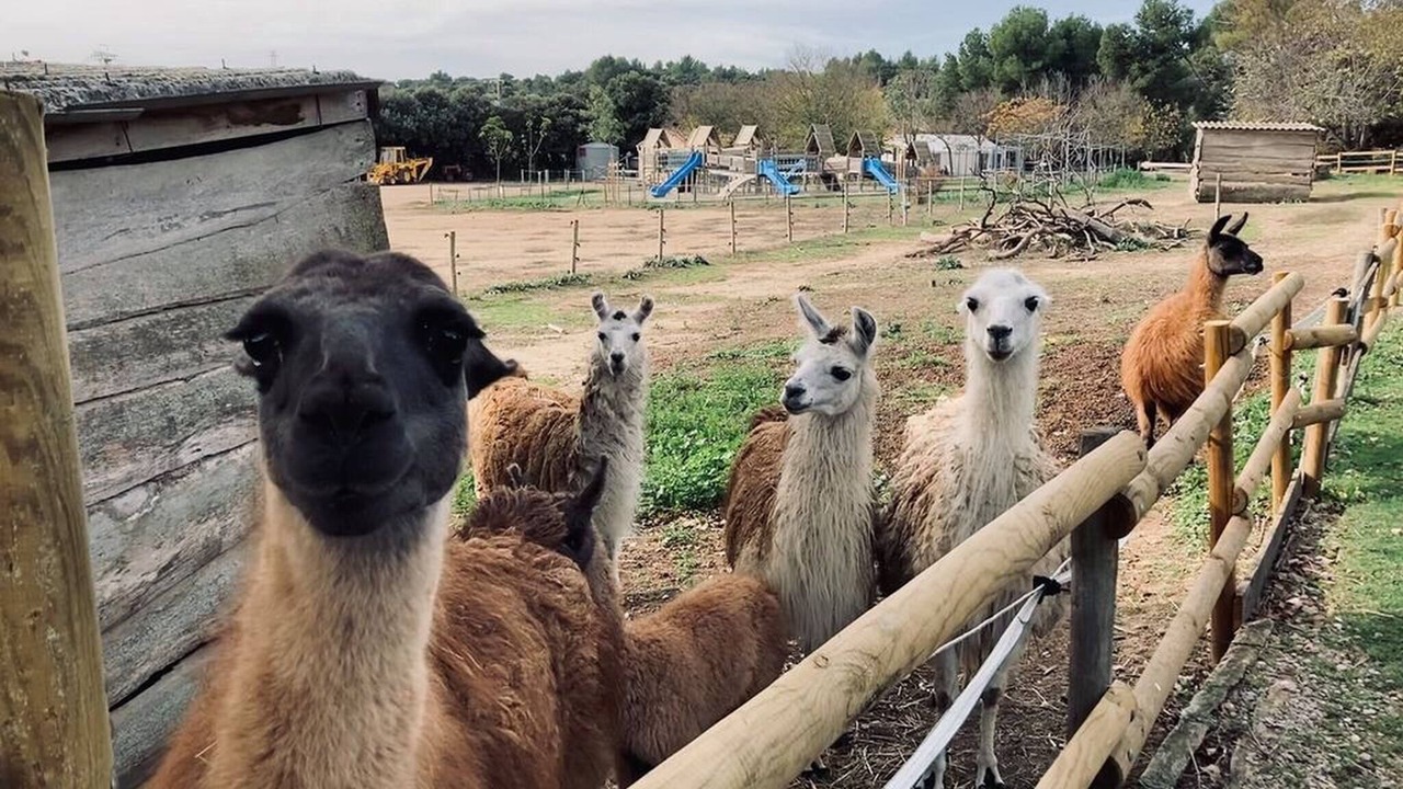 Photo of Others in Le Pouget