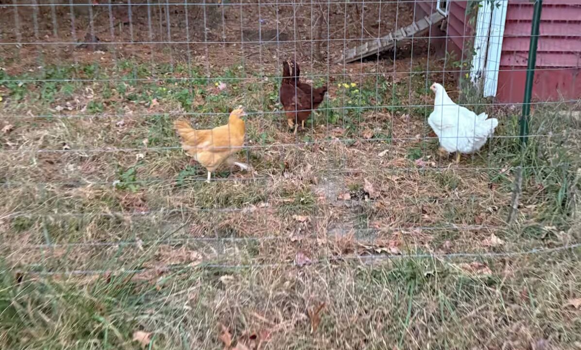 Photo of Others in Mechanicsville