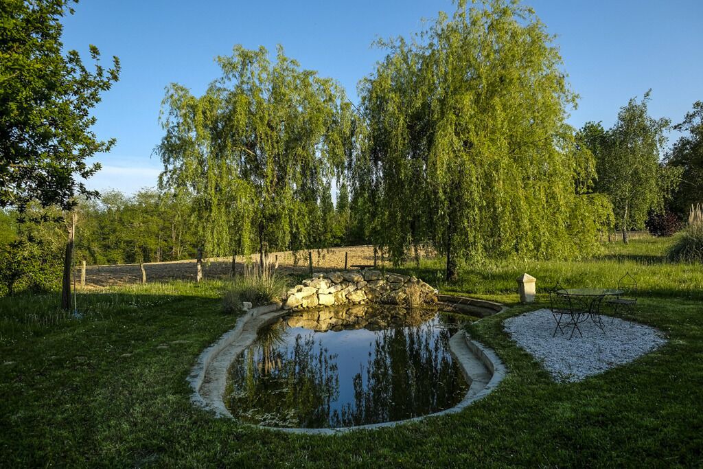 Photo of Outdoor in Pomarez
