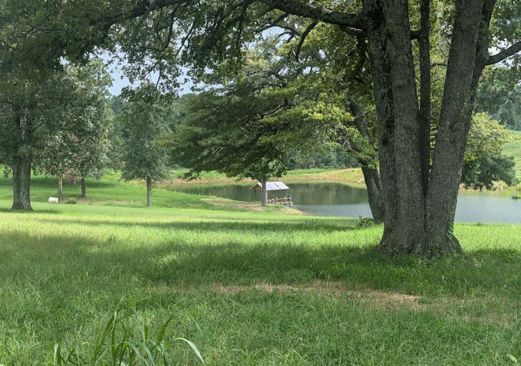 Photo of Others in Anderson County
